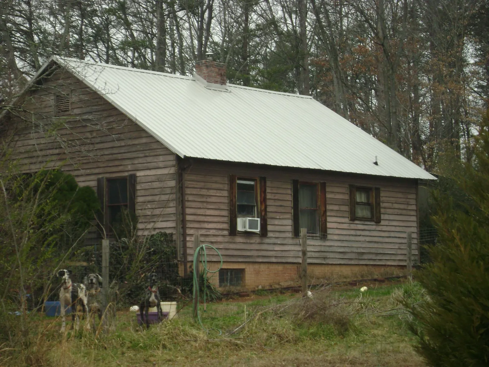 White metal roof on an old wood sided farmhouse, from a Asphalt Shingle Roof Repair job in North Reading